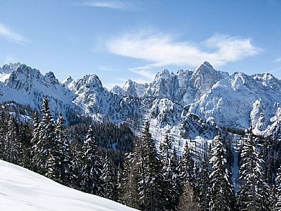 Snowy landscape 